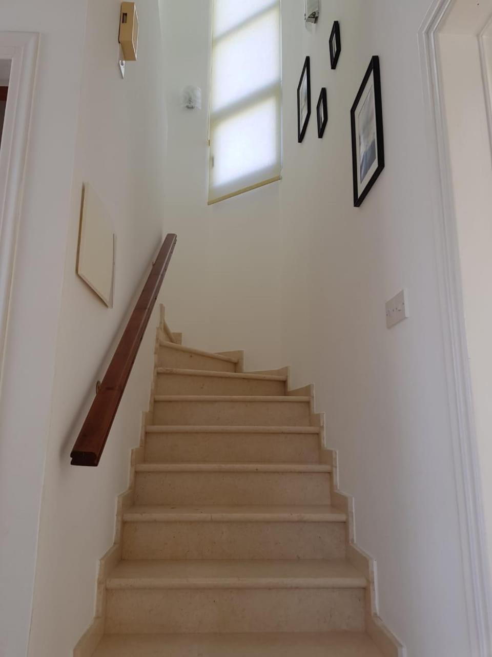 Villa Bouboulina Cyprus Aya Napa Dış mekan fotoğraf