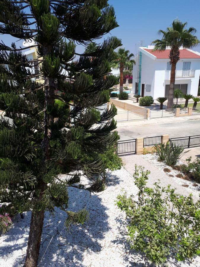 Villa Bouboulina Cyprus Aya Napa Dış mekan fotoğraf