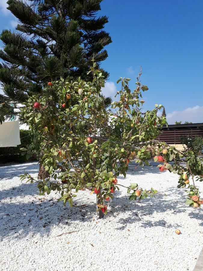 Villa Bouboulina Cyprus Aya Napa Dış mekan fotoğraf